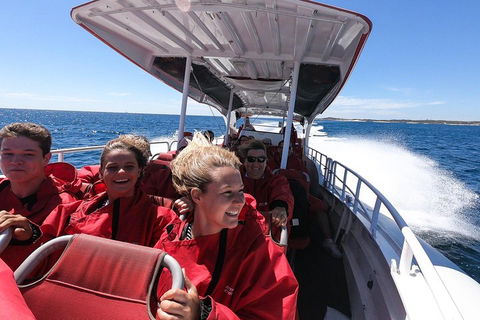 Adventure Rottnest Tour With Ferry & Adventure Cruise From Perth Or Fremantle - Pubs Adelaide 0