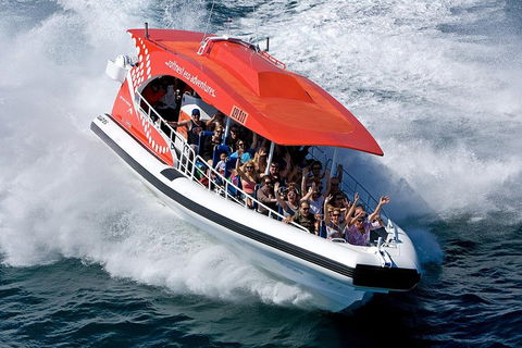 Adventure Rottnest Tour With Ferry & Adventure Cruise From Perth Or Fremantle - Pubs Adelaide 2