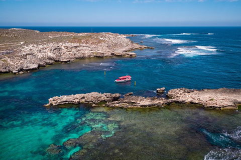 Adventure Rottnest Tour With Ferry & Adventure Cruise From Perth Or Fremantle - Pubs Adelaide 3