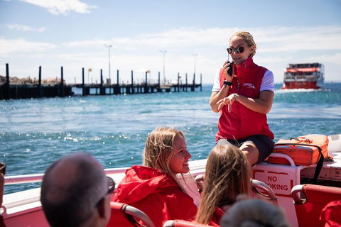 Adventure Rottnest Tour With Ferry & Adventure Cruise From Perth Or Fremantle - Pubs Adelaide 4