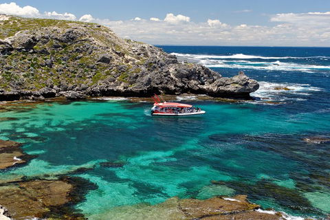 Adventure Rottnest Tour With Ferry & Adventure Cruise From Perth Or Fremantle - Pubs Adelaide 5