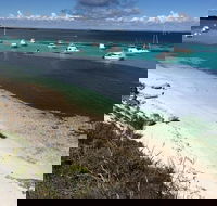 Experience Rottnest with Ferry  Bike Hire from Perth or Fremantle - Pubs Adelaide