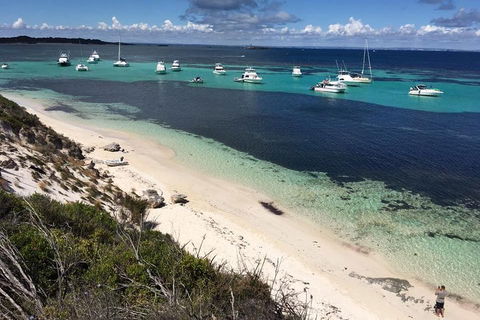 Experience Rottnest With Ferry & Bike Hire From Perth Or Fremantle - Pubs Adelaide 0