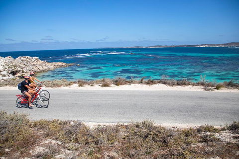 Experience Rottnest With Ferry & Bike Hire From Perth Or Fremantle - Pubs Adelaide 2
