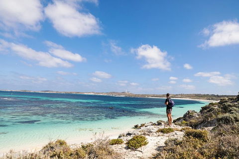 Experience Rottnest With Ferry & Bike Hire From Perth Or Fremantle - Pubs Adelaide 3