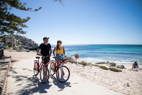 Experience Rottnest With Ferry & Bike Hire From Perth Or Fremantle - Pubs Adelaide 4