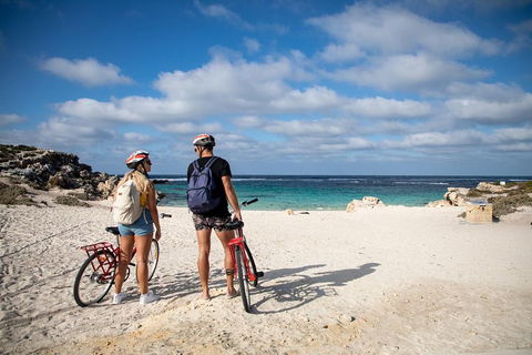 Experience Rottnest With Ferry & Bike Hire From Perth Or Fremantle - Pubs Adelaide 5