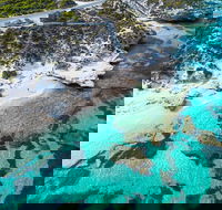 Rottnest Island Round-Trip Ferry from Perth or Fremantle - Pubs Adelaide