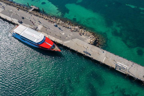 Rottnest Island Round-Trip Ferry From Perth Or Fremantle - Pubs Adelaide 1
