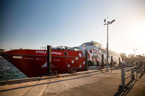 Rottnest Island Round-Trip Ferry From Perth Or Fremantle - Pubs Adelaide 2