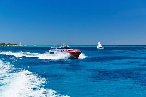 Rottnest Island Round-Trip Ferry From Perth Or Fremantle - Pubs Adelaide 4