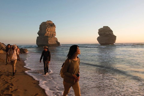 Full-Day Great Ocean Road And 12 Apostles Sunset Tour From Melbourne - Pubs Adelaide 4