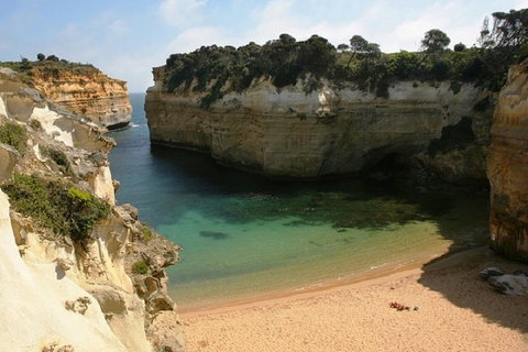 Melbourne Super Saver: Great Ocean Road + Mornington Peninsula + Attraction Pass - Pubs Adelaide 3