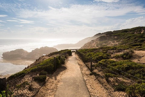 Melbourne Super Saver: Great Ocean Road + Mornington Peninsula + Attraction Pass - Pubs Adelaide 4