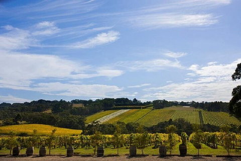 Melbourne Super Saver: Great Ocean Road + Mornington Peninsula + Attraction Pass - Pubs Adelaide 5