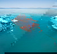 Ocean Freedom Great Barrier Reef Personal Luxury Snorkel  Dive Cruise Cairns - Pubs Adelaide