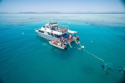 Ocean Freedom Great Barrier Reef Personal Luxury Snorkel & Dive Cruise, Cairns - Pubs Adelaide 0