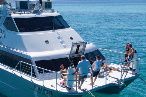 Ocean Freedom Great Barrier Reef Personal Luxury Snorkel & Dive Cruise, Cairns - Pubs Adelaide 1