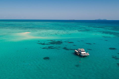 Ocean Freedom Great Barrier Reef Personal Luxury Snorkel & Dive Cruise, Cairns - Pubs Adelaide 2