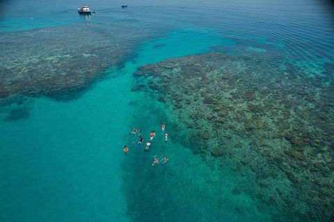 Ocean Freedom Great Barrier Reef Personal Luxury Snorkel & Dive Cruise, Cairns - Pubs Adelaide 3