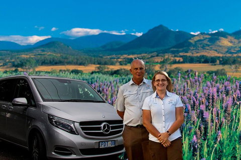 Full Day Small Group Luxury Tour To Tamborine Mountain - Pubs Adelaide 3