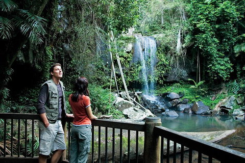 Full Day Small Group Luxury Tour To Tamborine Mountain - Pubs Adelaide 4