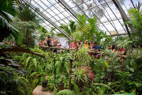 Australian Butterfly Sanctuary - Pubs Adelaide 0