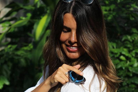 Australian Butterfly Sanctuary - Pubs Adelaide 2