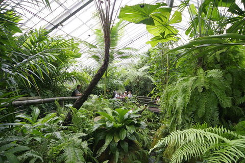 Australian Butterfly Sanctuary - Pubs Adelaide 3