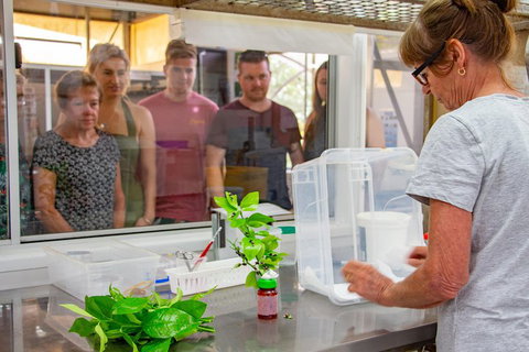 Australian Butterfly Sanctuary - Pubs Adelaide 5