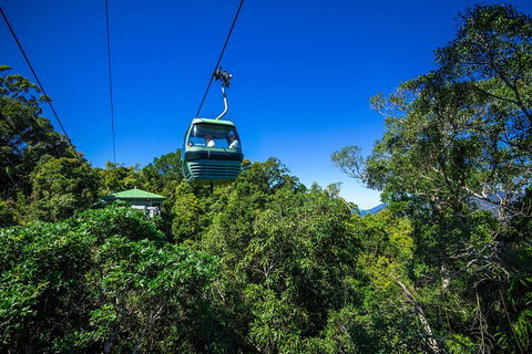 Classic Kuranda By Skyrail And Scenic Railway Including Rainforestation, Koala And Wildlife Park And Pamagirri Aboriginal Experi - Pubs Adelaide 0