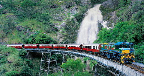Classic Kuranda By Skyrail And Scenic Railway Including Rainforestation, Koala And Wildlife Park And Pamagirri Aboriginal Experi - Pubs Adelaide 1