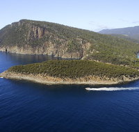 3-Hour Bruny Island Cruise from Adventure Bay Bruny Island - Pubs Adelaide