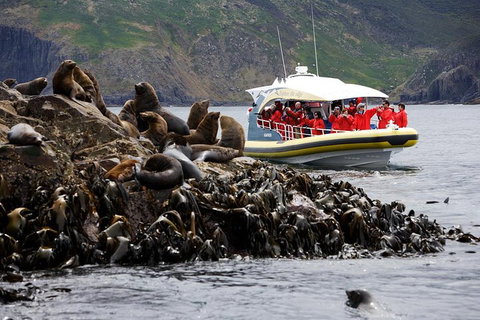 3-Hour Bruny Island Cruise From Adventure Bay, Bruny Island - Pubs Adelaide 4
