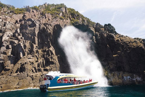 3-Hour Bruny Island Cruise From Adventure Bay, Bruny Island - Pubs Adelaide 5