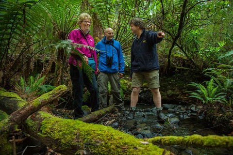 Bruny Island Traveller - Gourmet Tasting And Sightseeing Day Trip From Hobart - Pubs Adelaide 1