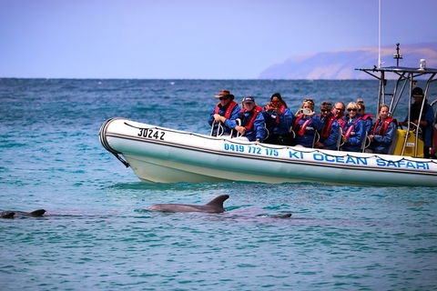 Kangaroo Island 75-Minute Ocean Safari - Pubs Adelaide 4