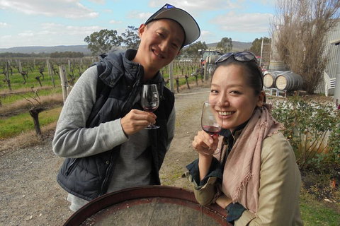 Swan Valley River Cruise And Wine Tasting Day Trip From Perth - Pubs Adelaide 0