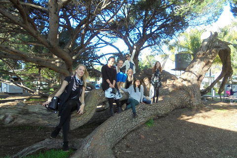 1/2 Day Swan Valley Wine Cheese & Chocolate Tour Inc Afternoon Cruise To Perth - Pubs Adelaide 0