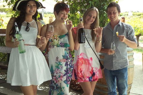 1/2 Day Swan Valley Wine Cheese & Chocolate Tour Inc Afternoon Cruise To Perth - Pubs Adelaide 4