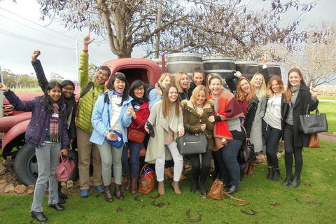 1/2 Day Swan Valley Wine Cheese & Chocolate Tour Inc Afternoon Cruise To Perth - Pubs Adelaide 5