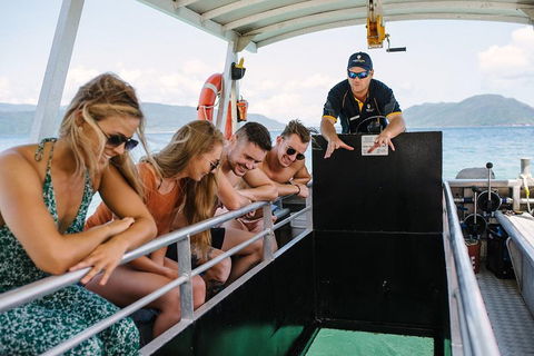 Fitzroy Island Day Trip From Cairns - Pubs Adelaide 4