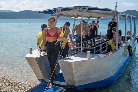 Fitzroy Island Day Trip From Cairns - Pubs Adelaide 5