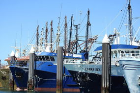 Book Port Willunga Accommodation Vacations Pubs Adelaide Pubs Adelaide