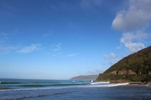 Private Great Ocean Road Day Tour With Early Departure & Early Return (11 Hours) - Pubs Adelaide 3