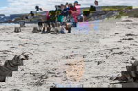 Book Viator Accommodation Vacations Pubs Adelaide Pubs Adelaide