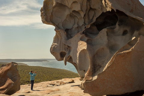 Kangaroo Island In A Day Tour From Adelaide - Pubs Adelaide 5