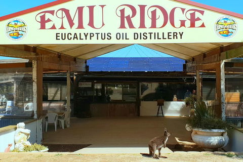 2 Day Ultimate Kangaroo Island With Return Ferry - Pubs Adelaide 3