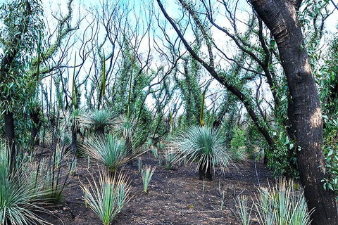 NEW TOUR - Kangaroo Island Road To Recovery Tour (1 Day/1 Night) - Pubs Adelaide 3