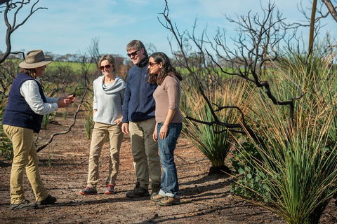 NEW TOUR - Kangaroo Island Road To Recovery Tour (1 Day/1 Night) - Pubs Adelaide 4